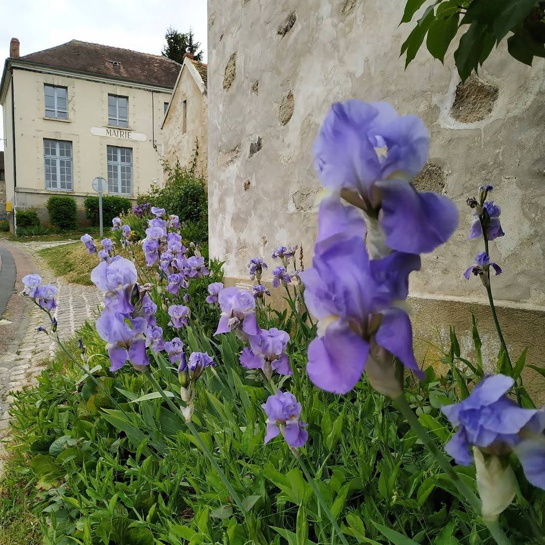  <small>© Commune de Veuilly-la-Poterie</small>