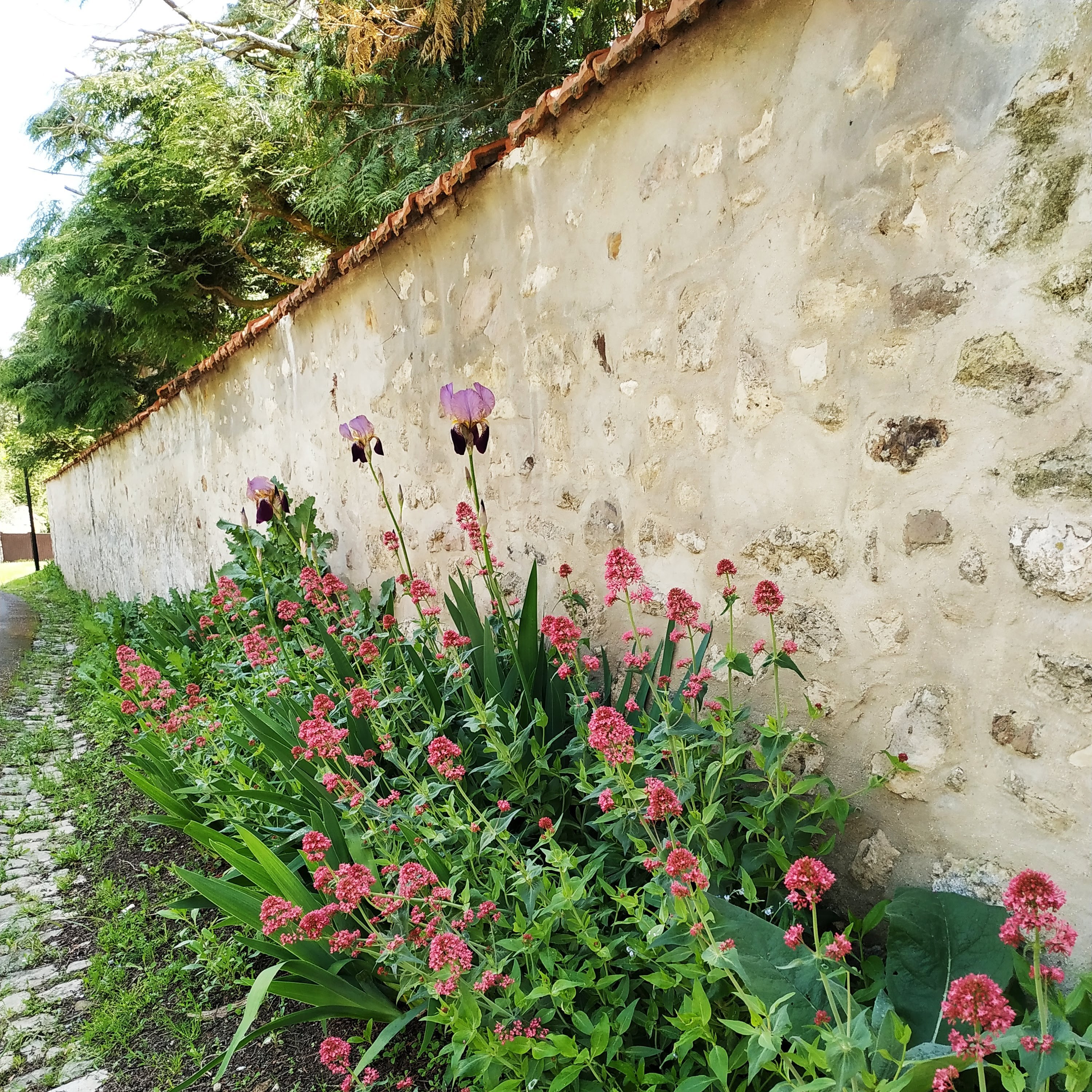  <small>© Commune de Veuilly-la-Poterie</small>