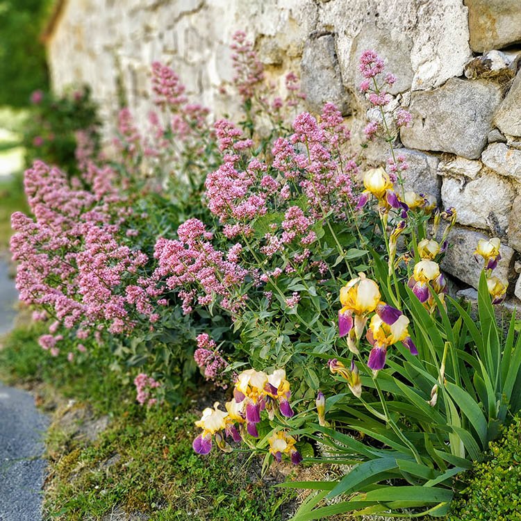  <small>© Commune de Veuilly-la-Poterie</small>