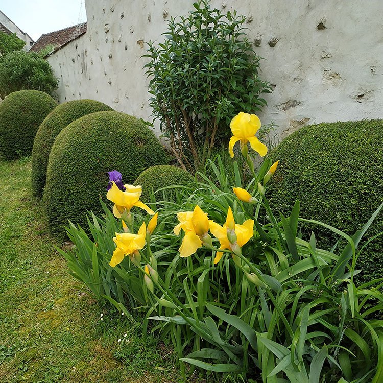  <small>© Commune de Veuilly-la-Poterie</small>