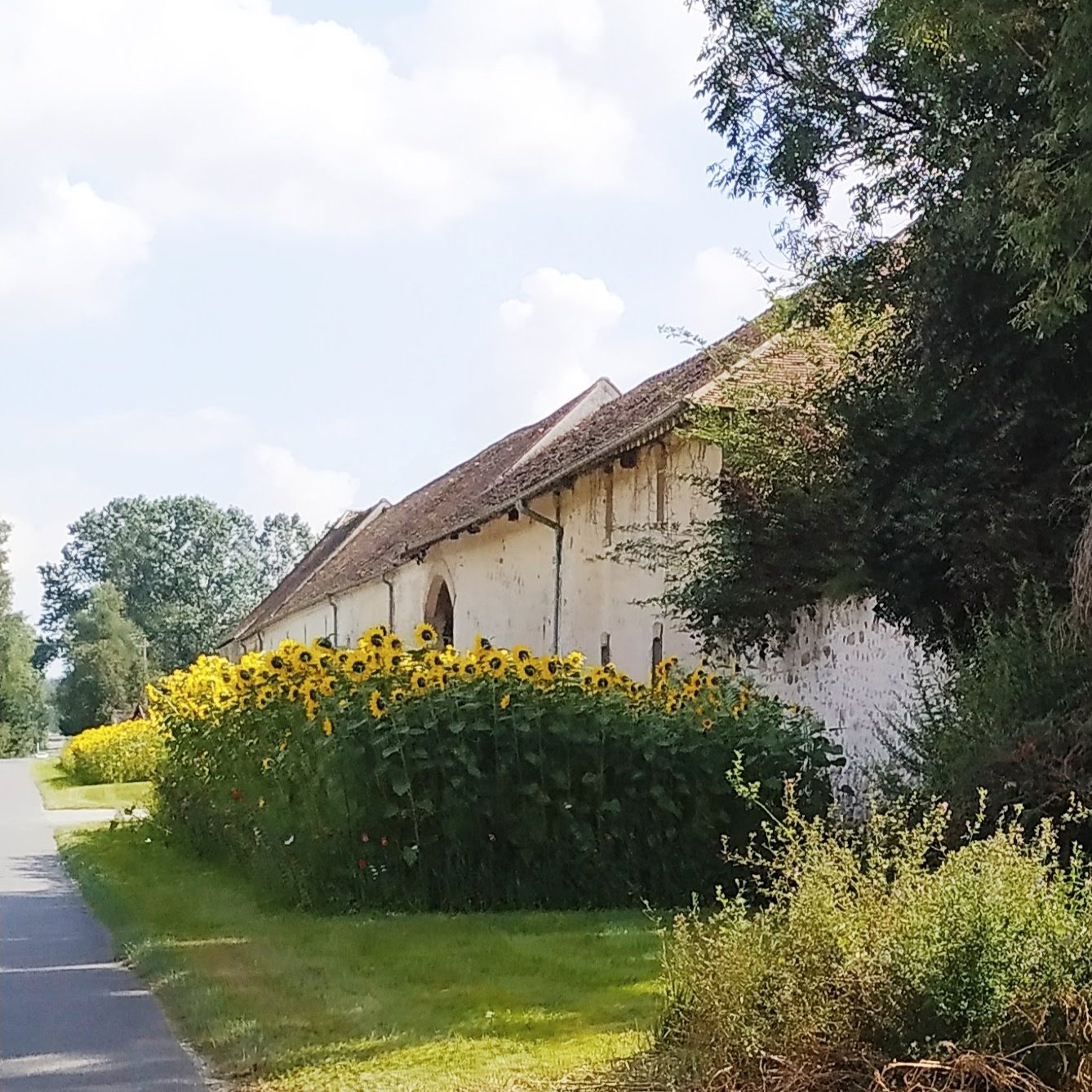  <small>© Commune de Veuilly-la-Poterie</small>