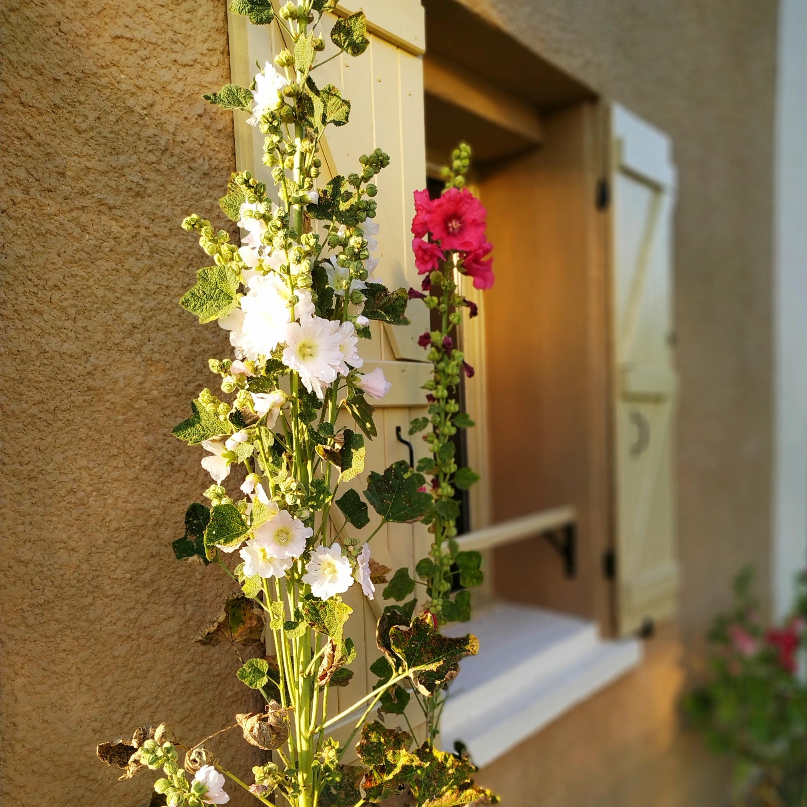  <small>© Commune de Veuilly-la-Poterie</small>